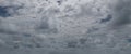 Sky with gray cumulus clouds. Wide photo