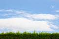 Sky with Green Hedge