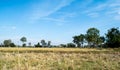 Sky and green trees. Fields and hay