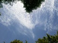 Sky heart shape cloude and leafs Royalty Free Stock Photo