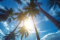 ocean sunrise sea sun sunset island palm beach sky landscape. Generative AI. Royalty Free Stock Photo