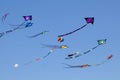 Sky of Kites Royalty Free Stock Photo