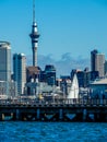 Sky line with Sky Tower, Auckland, New Zealand