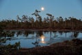 Moon rise observingn over swamp in Latvia Royalty Free Stock Photo