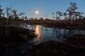 Moon rise observingn over swamp in Latvia Royalty Free Stock Photo