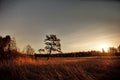 Moon rise observingn over swamp in Latvia Royalty Free Stock Photo