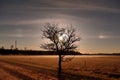 Moon rise observingn over field in Latvia Royalty Free Stock Photo