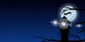 Sky moon trees night lighthouse light signal