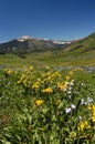 Sky, mountain, meadow, and flowers