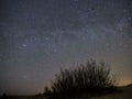 Night sky and milky way stars, Perseus constellation over sea Royalty Free Stock Photo