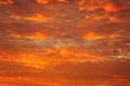 Sky in the orange colors. effect of light pastel colored of sunset clouds cloud on the sunset sky background Royalty Free Stock Photo