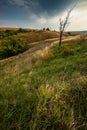 sky over grass field during summer, rural landscape