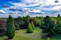 Sky overlooking trees with an aerial view trees nature with a skyline with clouds