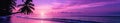 Purple Sunset on Tropical Beach With Palm Trees Royalty Free Stock Photo