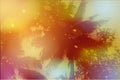 Sky, palm trees, sunset, sun glare. Vector Royalty Free Stock Photo
