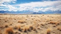 sky patagonian steppe arid