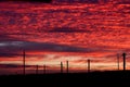 The sky red sunset clouds the evening poles electric wires Royalty Free Stock Photo