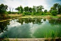 Sky reflection in deserted pool remains from the Someseni Baths near Cluj