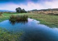 Sky reflection in wild pond Royalty Free Stock Photo