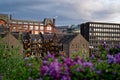 Sky reflection from windows of ECA building in Edinburgh with buddleia at sunset Royalty Free Stock Photo
