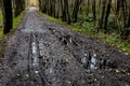 Wet and muddy road in a park after the rain. Multiple various tracks on the road Royalty Free Stock Photo