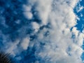 Sky scape of clouds. Cloudy sky. Rainy weather. Dramatic clouds. Dramatic background. Royalty Free Stock Photo