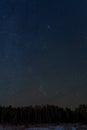 Sky star forest panorama