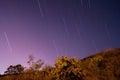 Sky star trails over a cactus trees and plants with purple sky