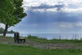 The sky after storm in summer with tree , bench and lake as a landscape Royalty Free Stock Photo