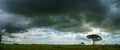 Sky with the stormy cloud of rain over the rice field Royalty Free Stock Photo