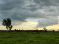 The sky suddenly turning cloudy over the grass field