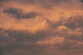 Sky at sunrise. Skyscape with bright pink clouds Royalty Free Stock Photo