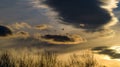 Sky at sunset with two storks flying with golden tones