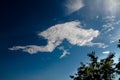 In the sky there is a beautiful cloud art. Royalty Free Stock Photo