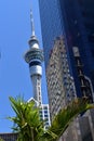 Sky Tower Auckland city