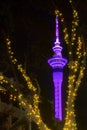 The Sky Tower, Auckland, New Zealand, framed by a tree with fairy lights