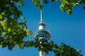 Sky Tower Auckland through trees