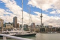 Sky Tower and boats