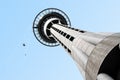 Sky Tower Bungy Jump Royalty Free Stock Photo