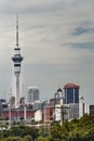 Sky Tower seen from Ponsonby Road, Auckland.