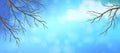 Sky Tree Branches Panoramic Banner