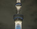 Sky tree tokyo tower at night Royalty Free Stock Photo