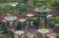 sky trees in the gardens by the bay, Marina bay sands, Singapore