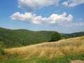 Sky with trees in the montain Royalty Free Stock Photo