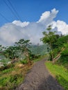 The sky and the trees side by side with the road Royalty Free Stock Photo