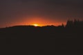 Sky turns red over forest at sunrise