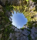 Sky view from a cenote