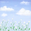 sky view with daisy flower Royalty Free Stock Photo