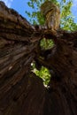 Sky view through hollow tree trunk, Keswick, Lake District, UK