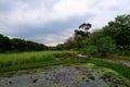 Sky view and trees in a Thai public park. Royalty Free Stock Photo